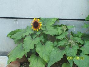 ������齫��Ƶ��ȫ�������ĸ﷽����̨��ȡ�������������쵼�ɲ��ó�...